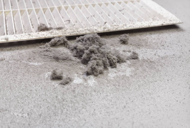 Best Affordable Duct Cleaning Services  in Grafton, WV